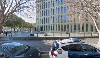 Barcelona - Juzgado de Violencia sobre la Mujer nº 2