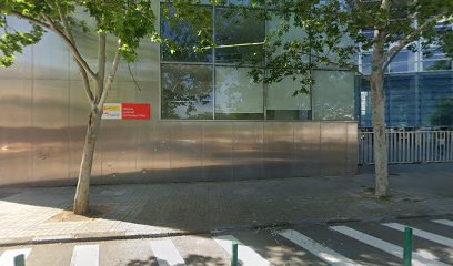 Ciudad Real - Juzgado de Menores Único