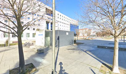 Pamplona/Iruña - Juzgado de Violencia sobre la Mujer nº 1