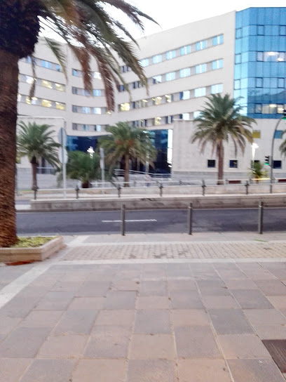 Santa Cruz de Tenerife - Juzgado de Violencia sobre la Mujer nº 2