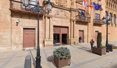 Soria - Audiencia Provincial Civil-Penal Única