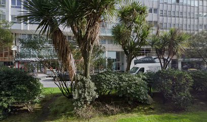 (A Coruña) Galia - Bello & Pinto Abogados