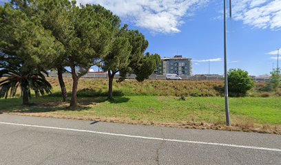 (Alzira) ABOGADOS Y CONSULTORES GSM