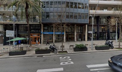(Barcelona) colorado de roa